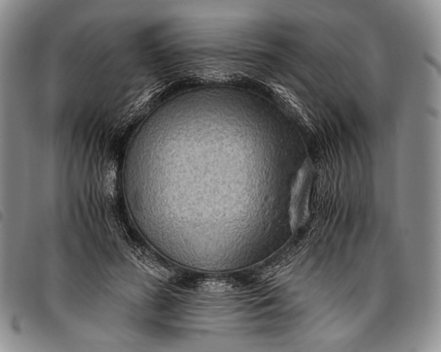 X0000096640596200802191222