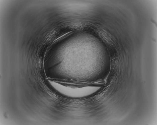 X0000096640597200802191222