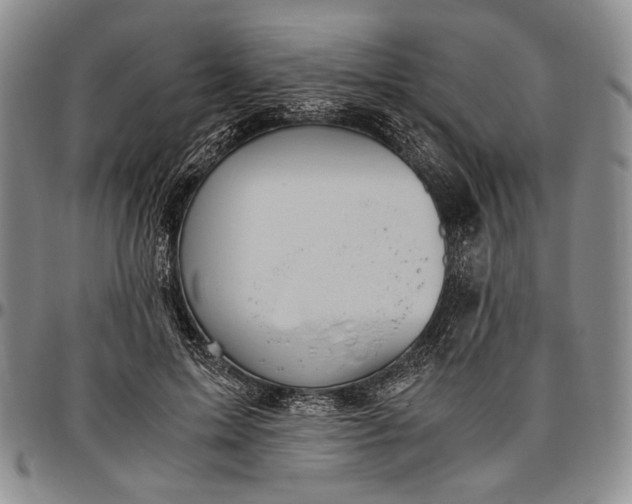 X0000096640599200802191222