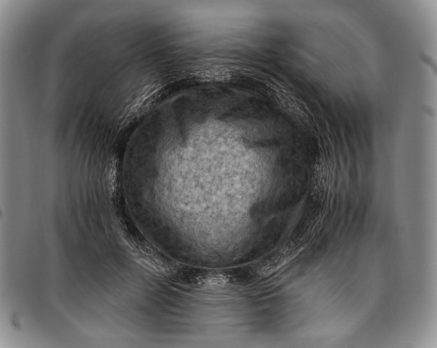 X0000096640600200802191222