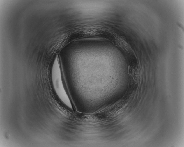 X0000096640601200802191222