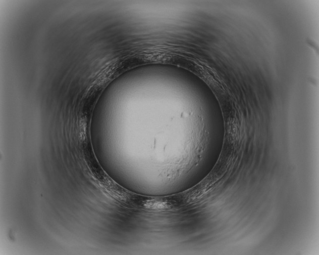 X0000096640602200802191222