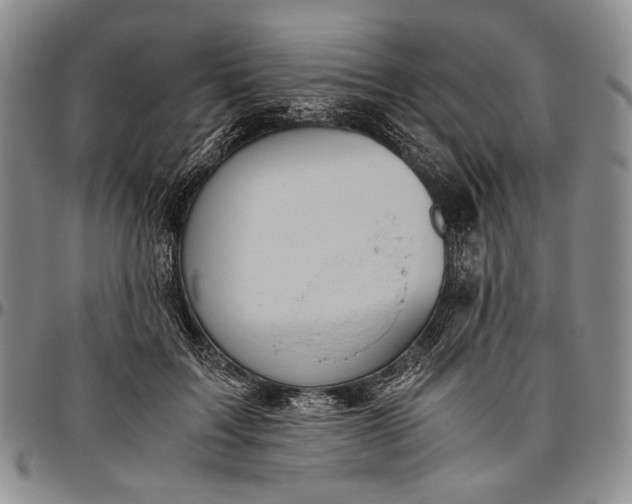 X0000096640603200802191221