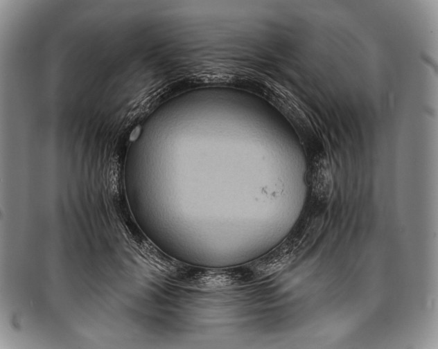 X0000096640604200802191221