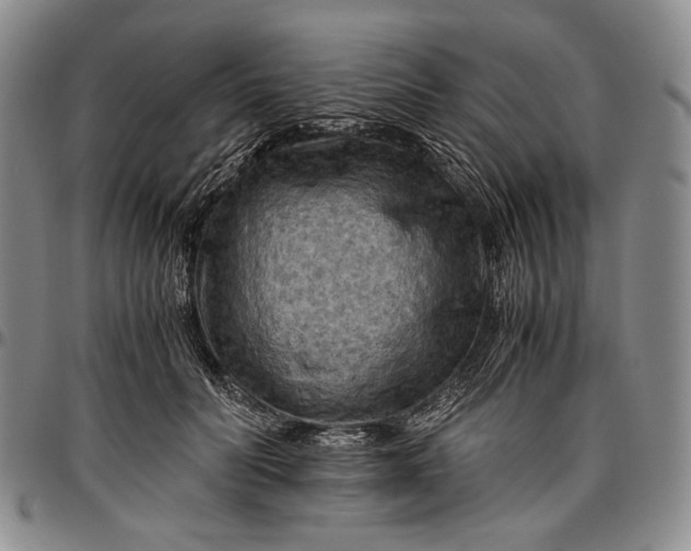 X0000096640606200802191221