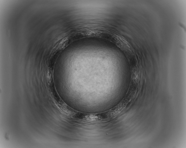 X0000096640607200802191221