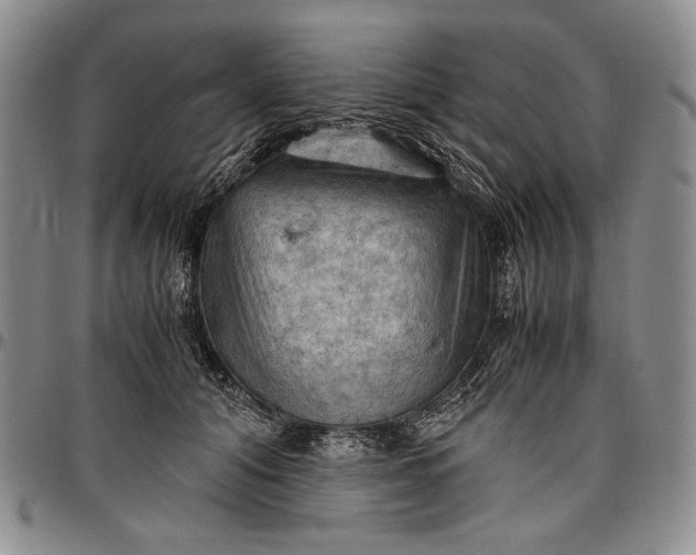 X0000096640608200802191221