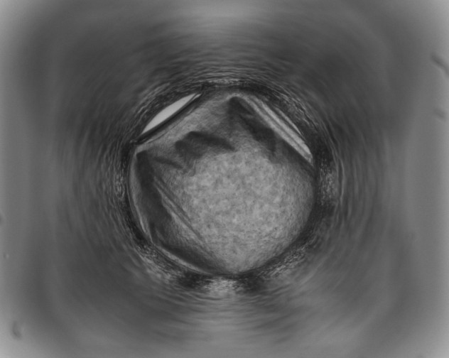 X0000096640609200802191221