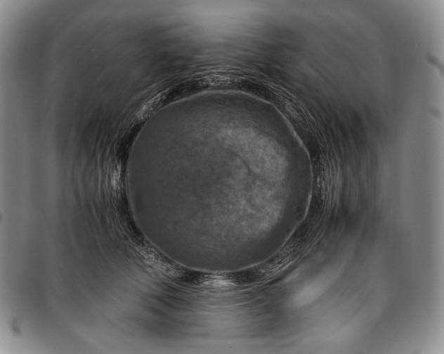 X0000096640610200802191221