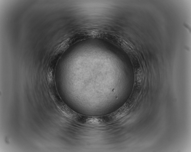 X0000096640611200802191221