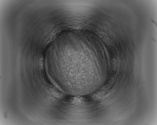 X0000096640612200802191221