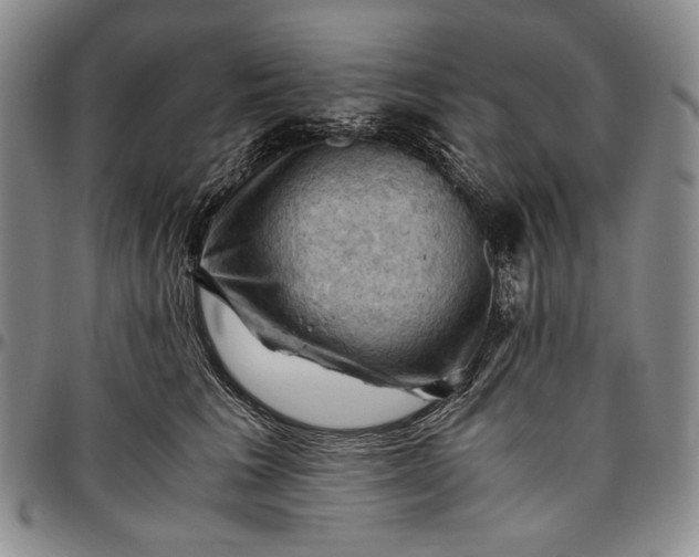 X0000096640613200802191221