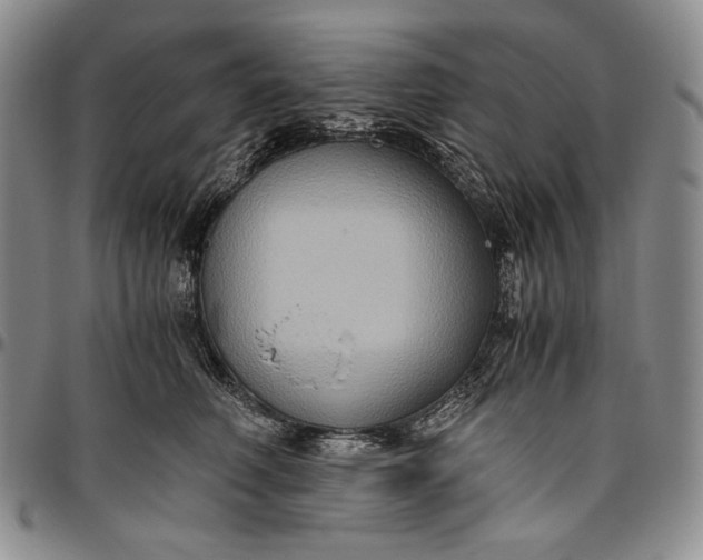 X0000096640614200802191221