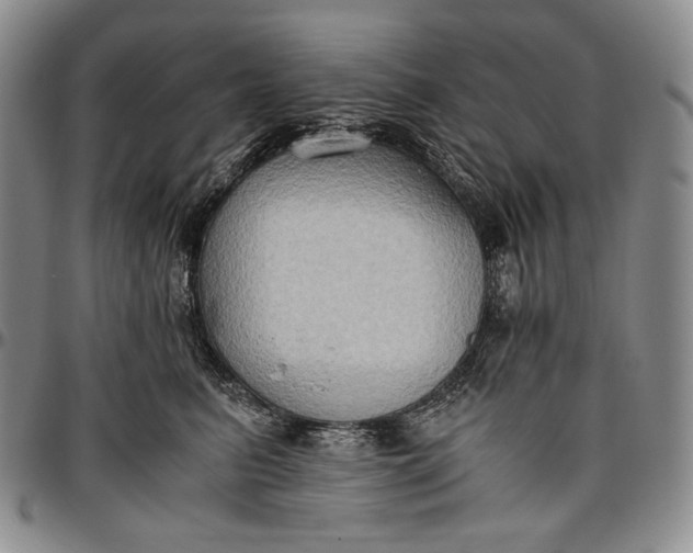 X0000096640615200802191221