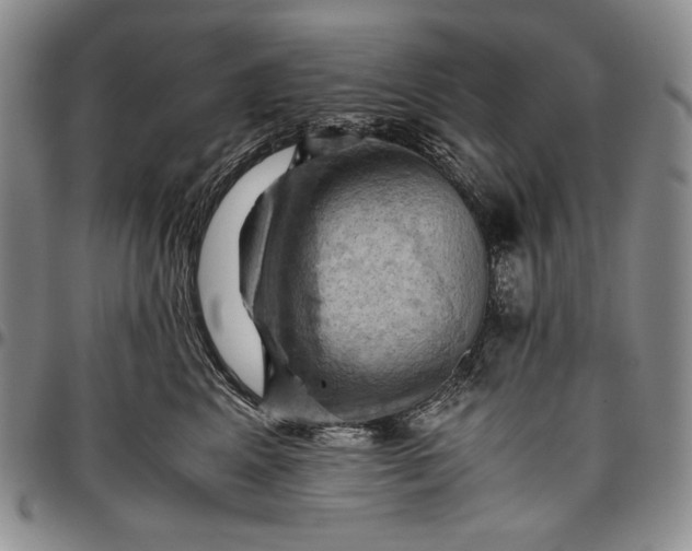 X0000096640617200802191221