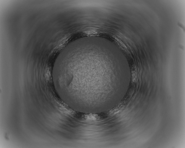 X0000096640618200802191221