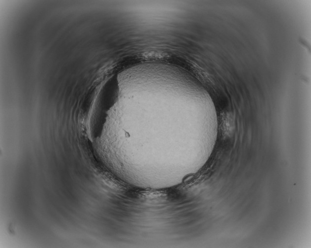 X0000096640619200802191221