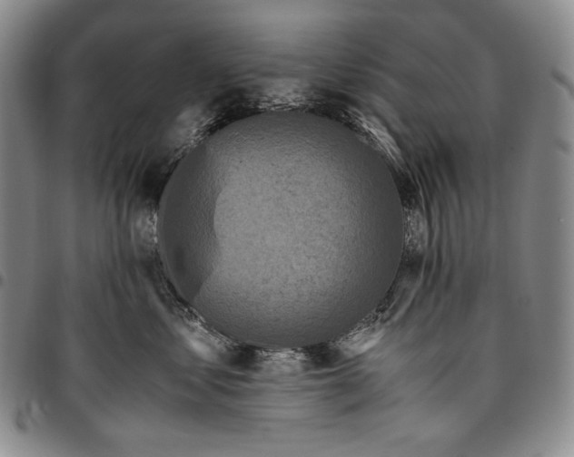 X0000096640621200802191221