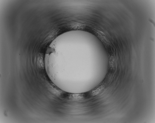 X0000096640622200802191221