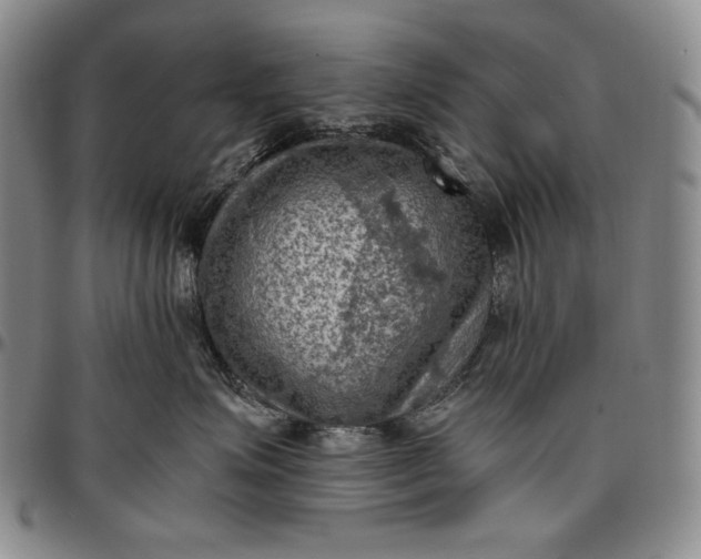 X0000096640623200802191221