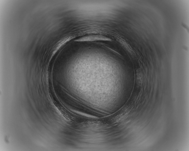 X0000096640626200802191220