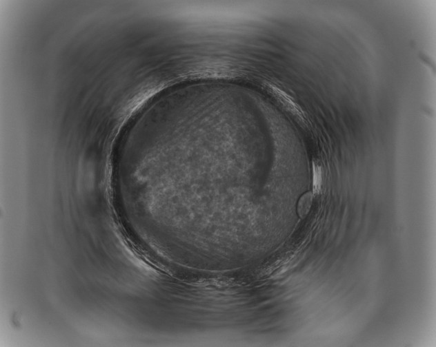 X0000096640627200802191220