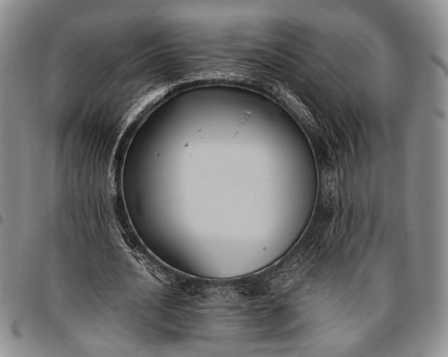 X0000096640628200802191220