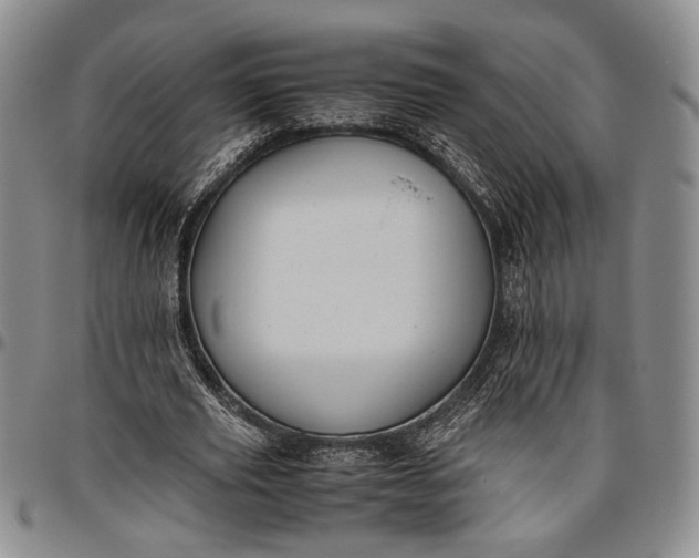 X0000096640629200802191220