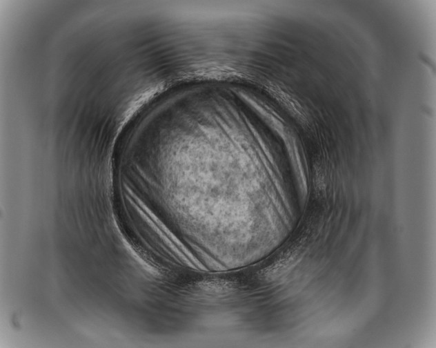 X0000096640630200802191220