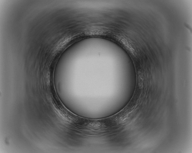 X0000096640631200802191220