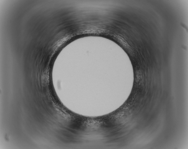 X0000096640632200802191220