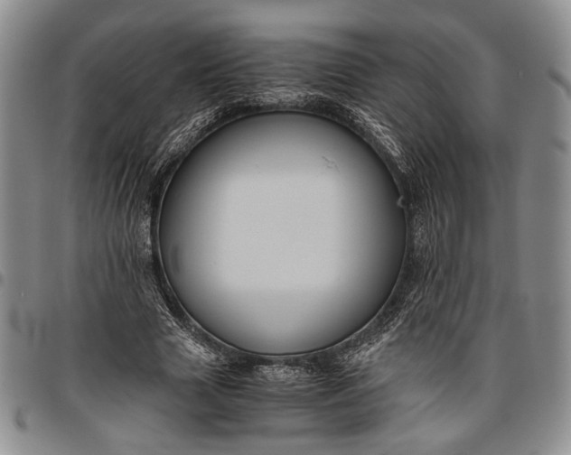 X0000096640633200802191220