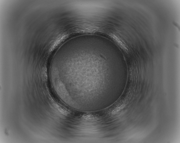 X0000096640634200802191220