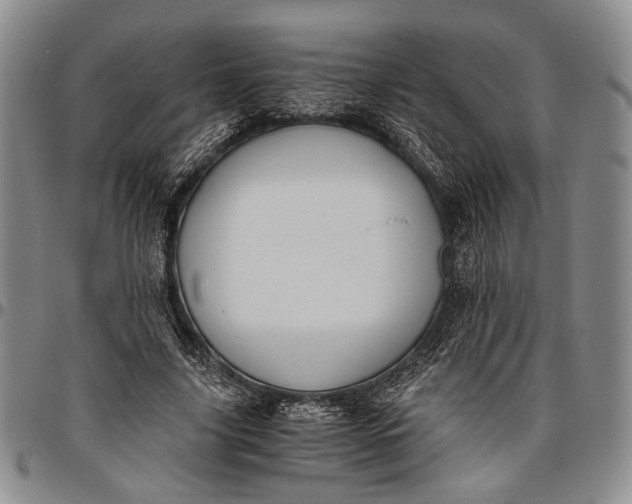 X0000096640635200802191220