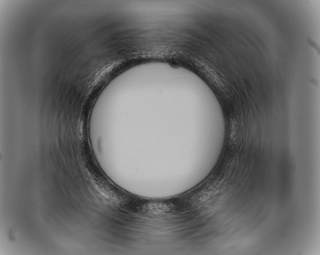 X0000096640636200802191220