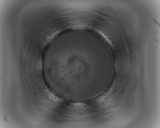 X0000096640637200802191220