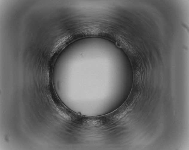 X0000096640638200802191220