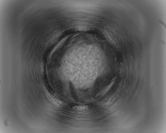 X0000096640639200802191220