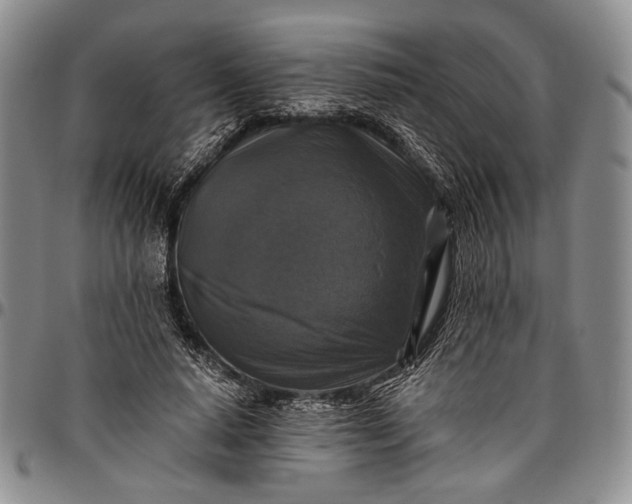 X0000096640640200802191220