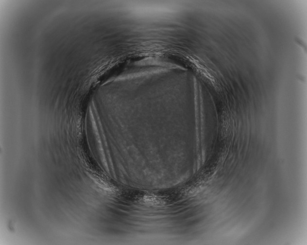 X0000096640641200802191220