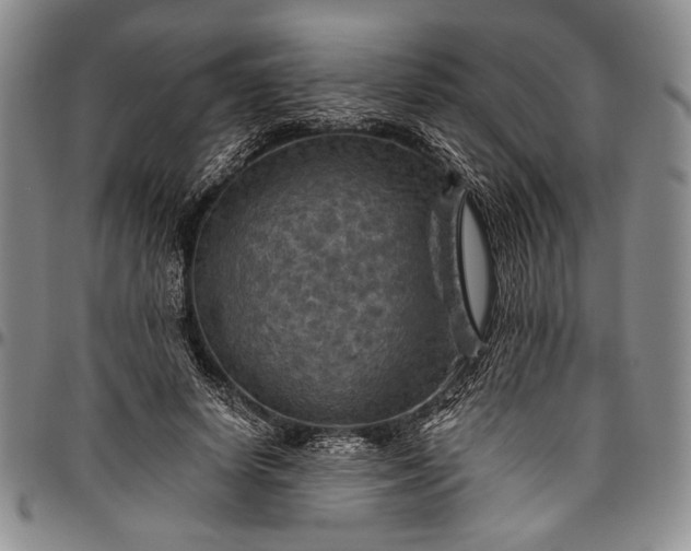 X0000096640642200802191220