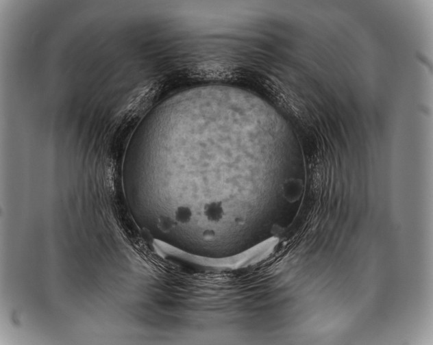 X0000096640643200802191220