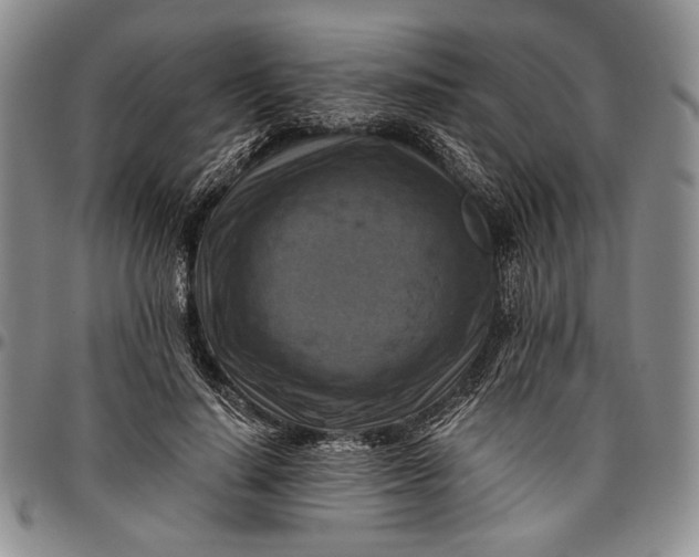 X0000096640644200802191220