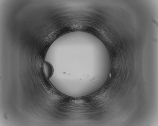 X0000096640645200802191220