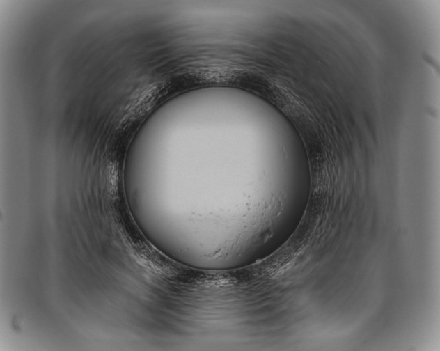 X0000096640646200802191220