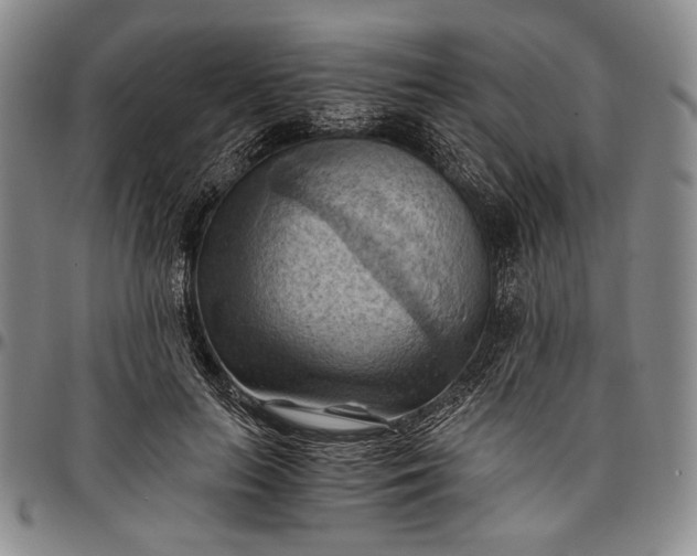 X0000096640647200802191221