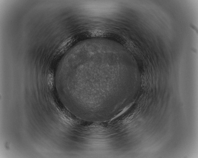 X0000096640648200802191221