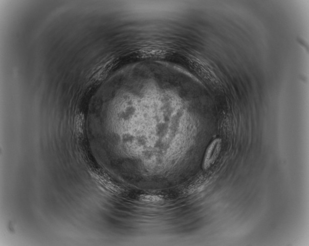 X0000096640649200802191221