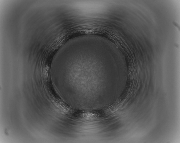 X0000096640650200802191221