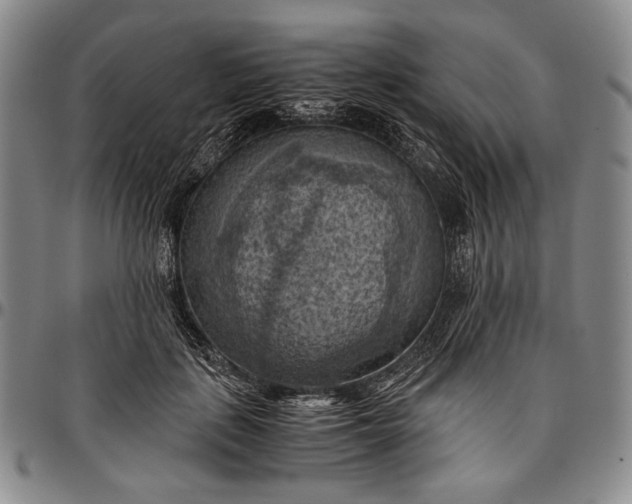 X0000096640651200802191221